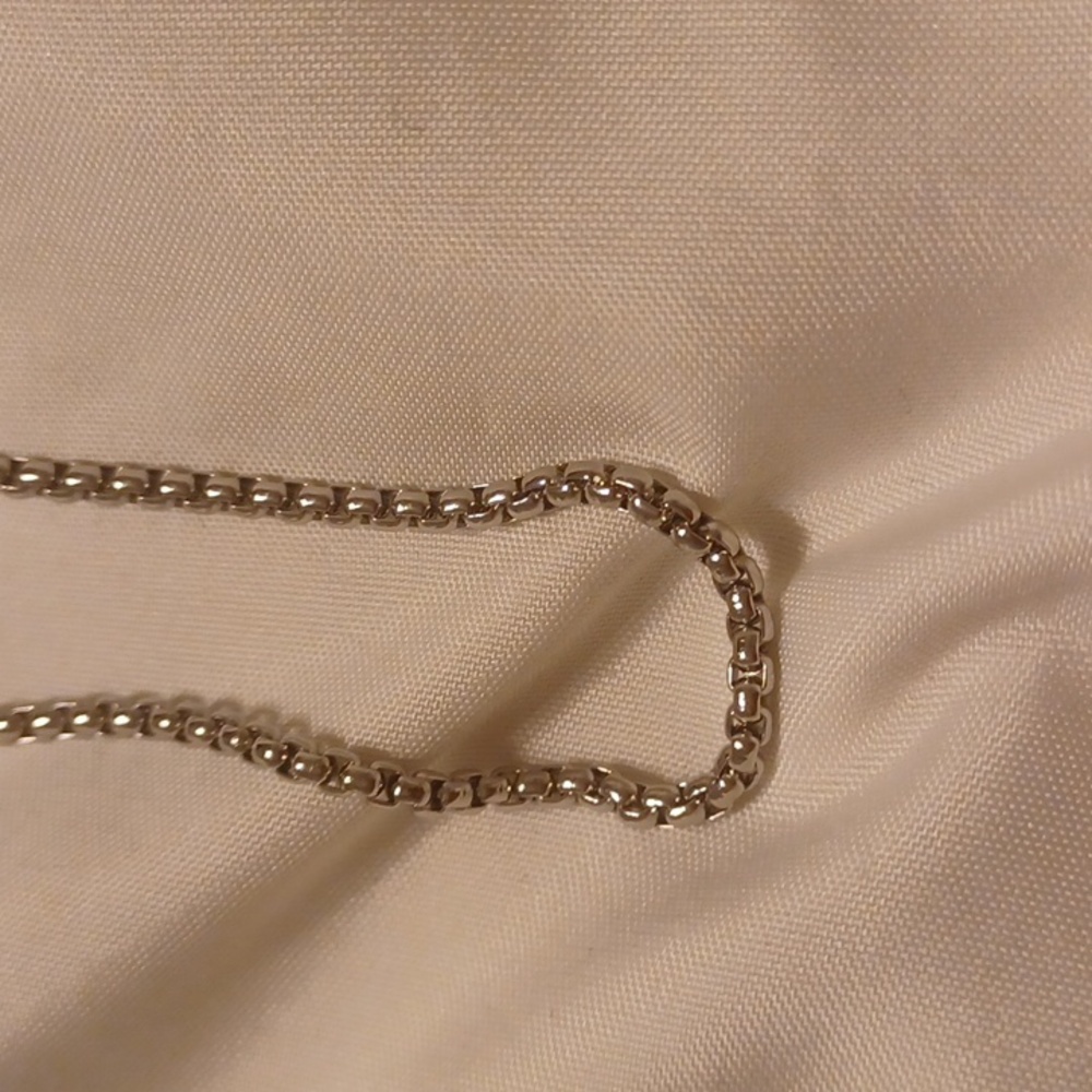 Nwt men's stainless steel 21 in